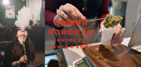 соль ск Богородицк