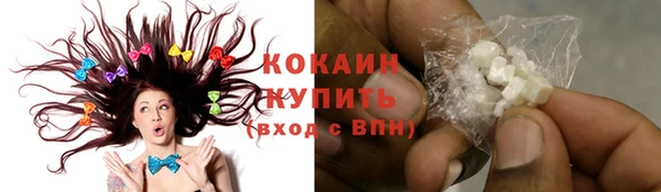 гашиш Богданович
