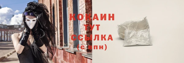 гашиш Богданович