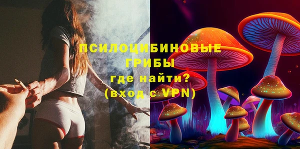 гашиш Богданович