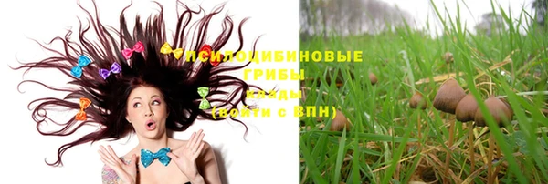 гашиш Богданович