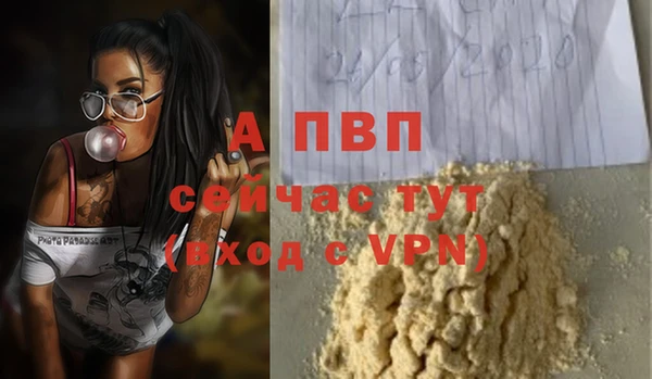 гашиш Богданович