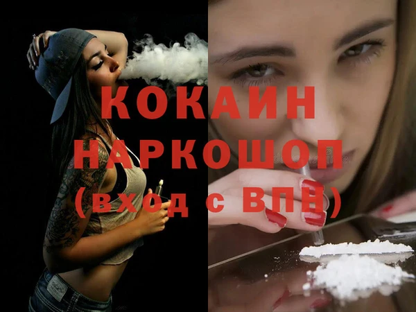 соль ск Богородицк