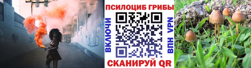 как найти закладки  Краснокаменск  Псилоцибиновые грибы Magic Shrooms 